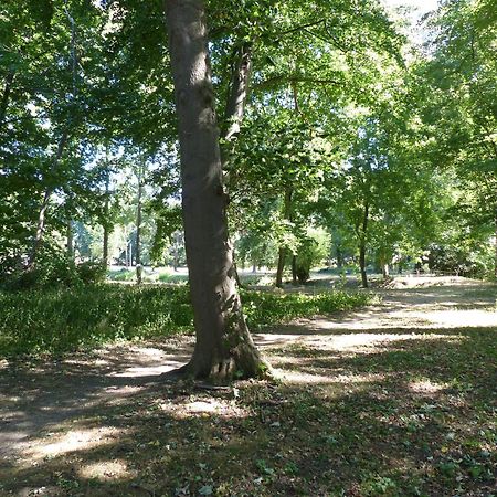 Ferienwohnung Mit Brockenblick Langenstein Esterno foto