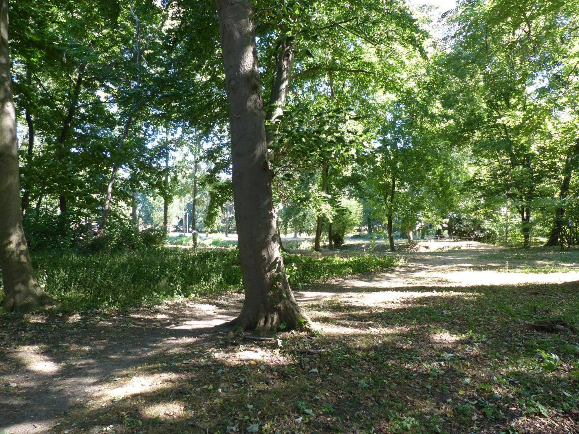 Ferienwohnung Mit Brockenblick Langenstein Esterno foto