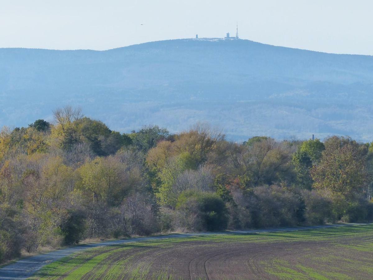 Ferienwohnung Mit Brockenblick Langenstein Esterno foto